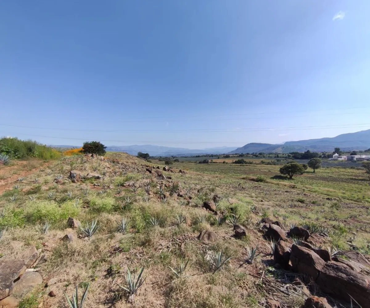 Terreno En Venta,centro,Carretera Gdl Amatitan kilometro 38.5, Amatitán, Jalisco 45380,Carretera Gdl Amatitan kilometro,ppok54U Terreno En Venta,centro,Carretera Gdl Amatitan kilometro 38.5, Amatitán, Jalisco 45380,Carretera Gdl Amatitan kilometro,ppok54U