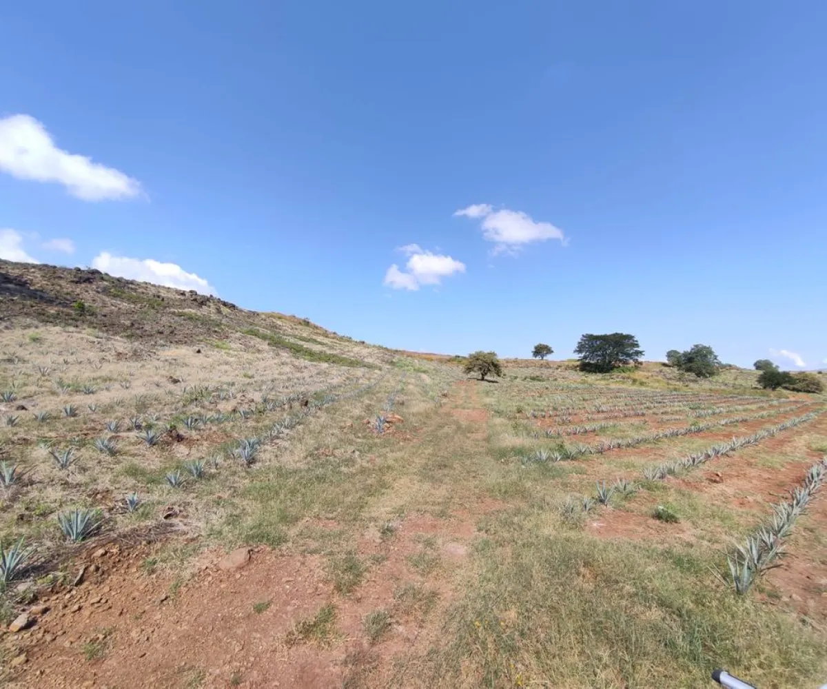 Terreno En Venta,centro,Carretera Gdl Amatitan kilometro 38.5, Amatitán, Jalisco 45380,Carretera Gdl Amatitan kilometro,ppok54U Terreno En Venta,centro,Carretera Gdl Amatitan kilometro 38.5, Amatitán, Jalisco 45380,Carretera Gdl Amatitan kilometro,ppok54U