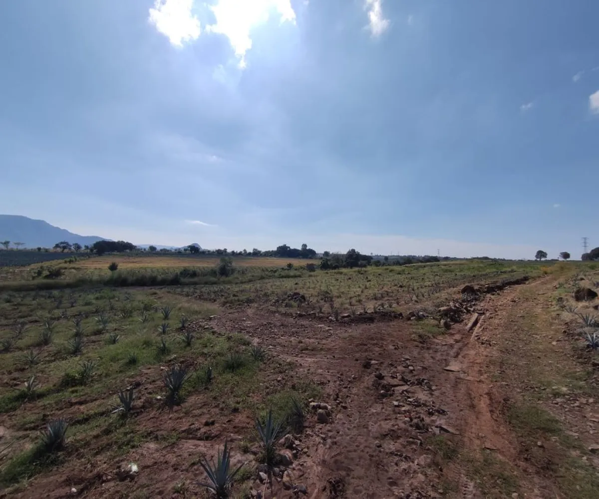 Terreno En Venta,centro,Carretera Gdl Amatitan kilometro 38.5, Amatitán, Jalisco 45380,Carretera Gdl Amatitan kilometro,ppok54U Terreno En Venta,centro,Carretera Gdl Amatitan kilometro 38.5, Amatitán, Jalisco 45380,Carretera Gdl Amatitan kilometro,ppok54U