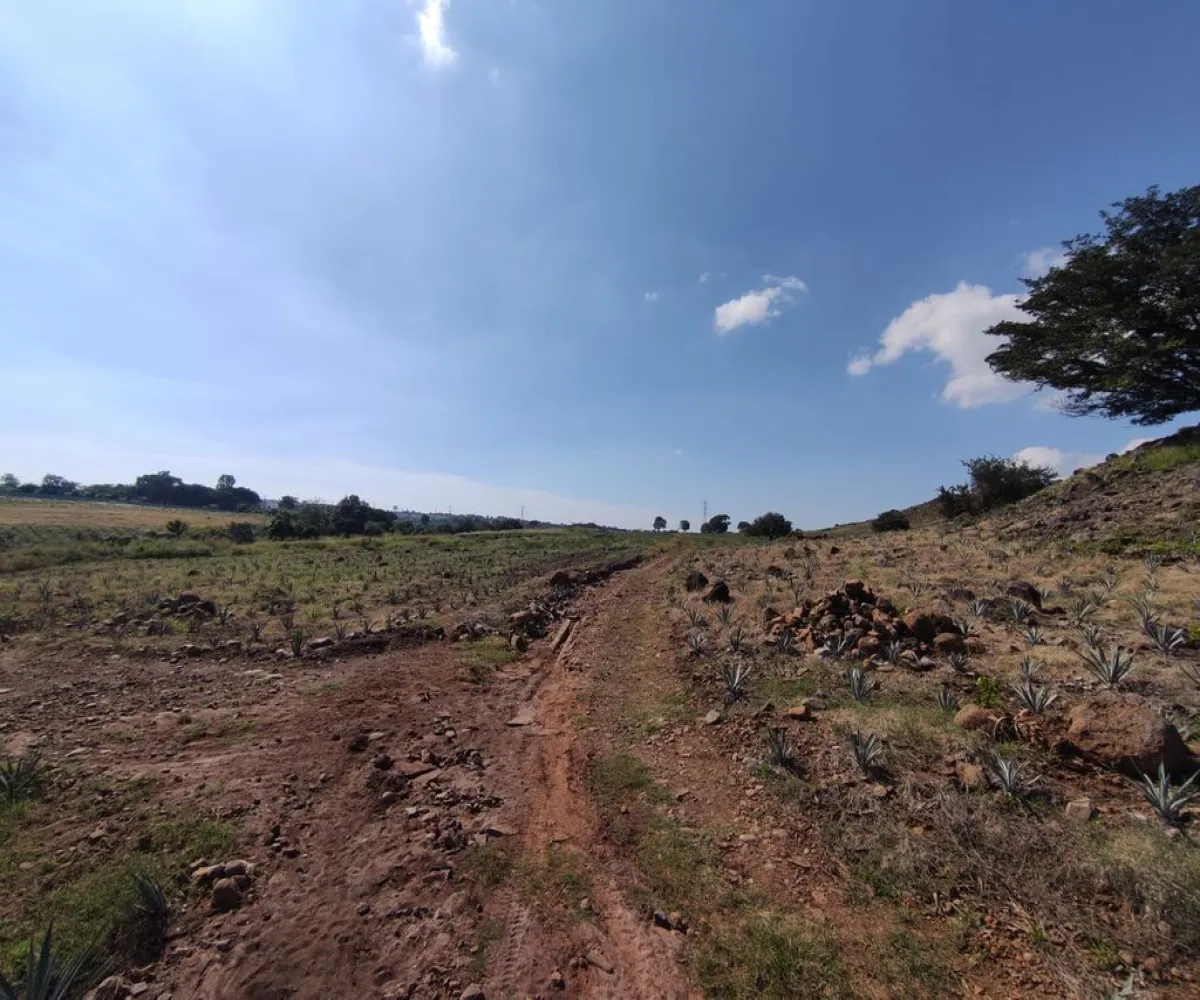 Terreno En Venta,centro,Carretera Gdl Amatitan kilometro 38.5, Amatitán, Jalisco 45380,Carretera Gdl Amatitan kilometro,ppok54U Terreno En Venta,centro,Carretera Gdl Amatitan kilometro 38.5, Amatitán, Jalisco 45380,Carretera Gdl Amatitan kilometro,ppok54U