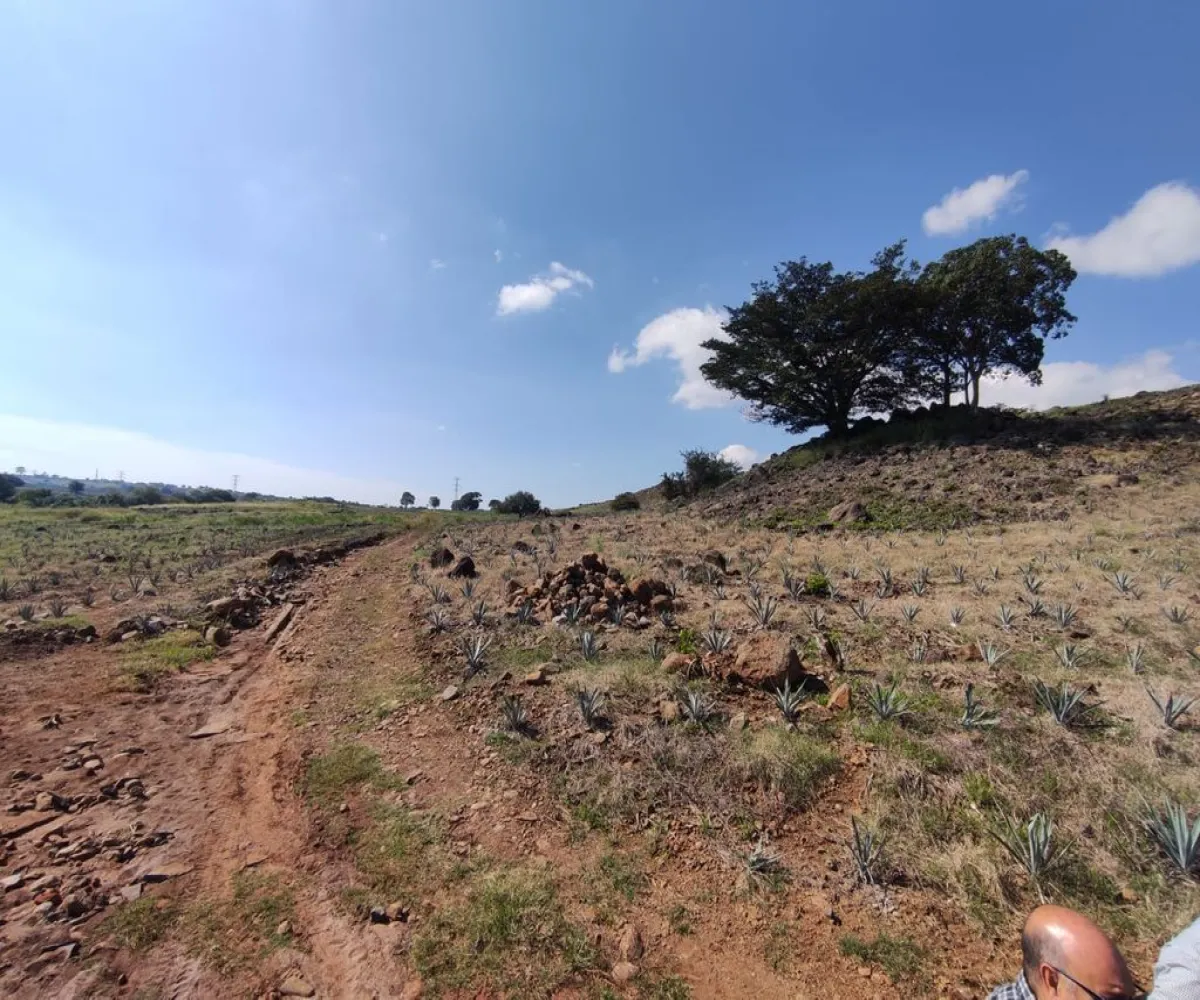 Terreno En Venta,centro,Carretera Gdl Amatitan kilometro 38.5, Amatitán, Jalisco 45380,Carretera Gdl Amatitan kilometro,ppok54U Terreno En Venta,centro,Carretera Gdl Amatitan kilometro 38.5, Amatitán, Jalisco 45380,Carretera Gdl Amatitan kilometro,ppok54U