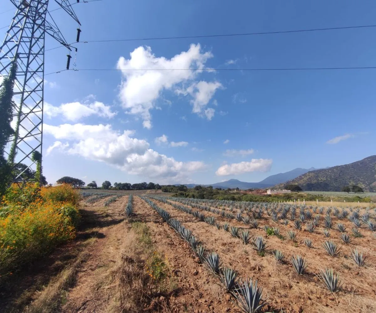 Terreno En Venta,centro,Carretera Gdl Amatitan kilometro 38.5, Amatitán, Jalisco 45380,Carretera Gdl Amatitan kilometro,ppok54U Terreno En Venta,centro,Carretera Gdl Amatitan kilometro 38.5, Amatitán, Jalisco 45380,Carretera Gdl Amatitan kilometro,ppok54U