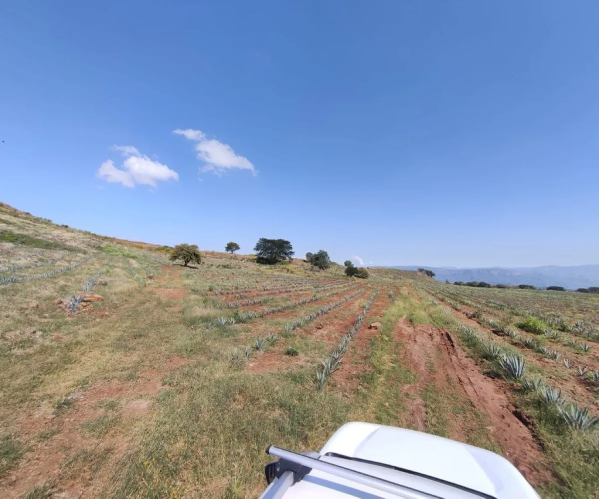 Terreno En Venta,centro,Carretera Gdl Amatitan kilometro 38.5, Amatitán, Jalisco 45380,Carretera Gdl Amatitan kilometro,ppok54U Terreno En Venta,centro,Carretera Gdl Amatitan kilometro 38.5, Amatitán, Jalisco 45380,Carretera Gdl Amatitan kilometro,ppok54U