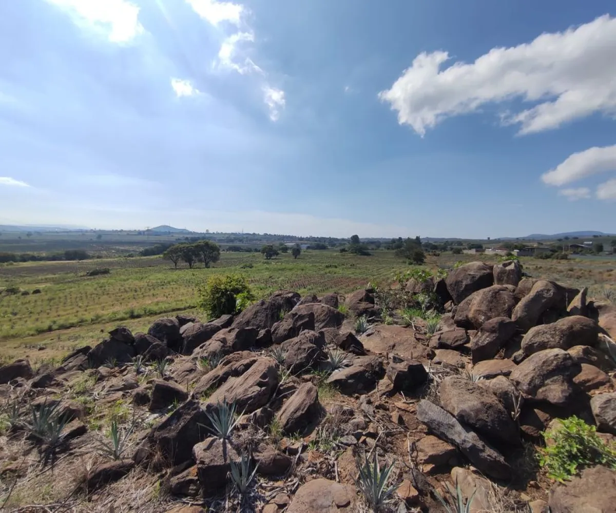 Terreno En Venta,centro,Carretera Gdl Amatitan kilometro 38.5, Amatitán, Jalisco 45380,Carretera Gdl Amatitan kilometro,ppok54U Terreno En Venta,centro,Carretera Gdl Amatitan kilometro 38.5, Amatitán, Jalisco 45380,Carretera Gdl Amatitan kilometro,ppok54U