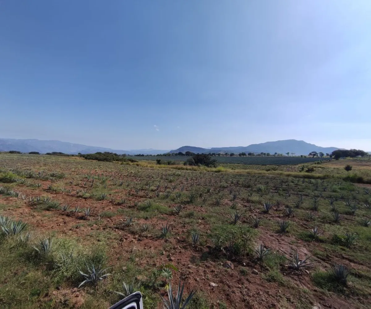 Terreno En Venta,centro,Carretera Gdl Amatitan kilometro 38.5, Amatitán, Jalisco 45380,Carretera Gdl Amatitan kilometro,ppok54U Terreno En Venta,centro,Carretera Gdl Amatitan kilometro 38.5, Amatitán, Jalisco 45380,Carretera Gdl Amatitan kilometro,ppok54U