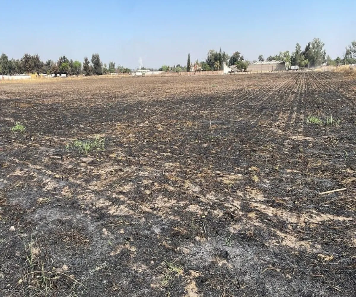 Terreno En Renta,Zapote Del Valle,Parcela 287 Z3 PS/S, Tlajomulco de Zúñiga, Jalisco 45672,Parcela 287 ,p31K8gI Terreno En Renta,Zapote Del Valle,Parcela 287 Z3 PS/S, Tlajomulco de Zúñiga, Jalisco 45672,Parcela 287 ,p31K8gI