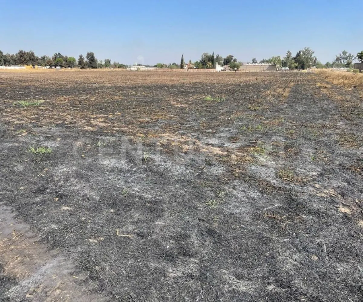 Terreno En Renta,Zapote Del Valle,Parcela 287 Z3 PS/S, Tlajomulco de Zúñiga, Jalisco 45672,Parcela 287 ,p31K8gI Terreno En Renta,Zapote Del Valle,Parcela 287 Z3 PS/S, Tlajomulco de Zúñiga, Jalisco 45672,Parcela 287 ,p31K8gI