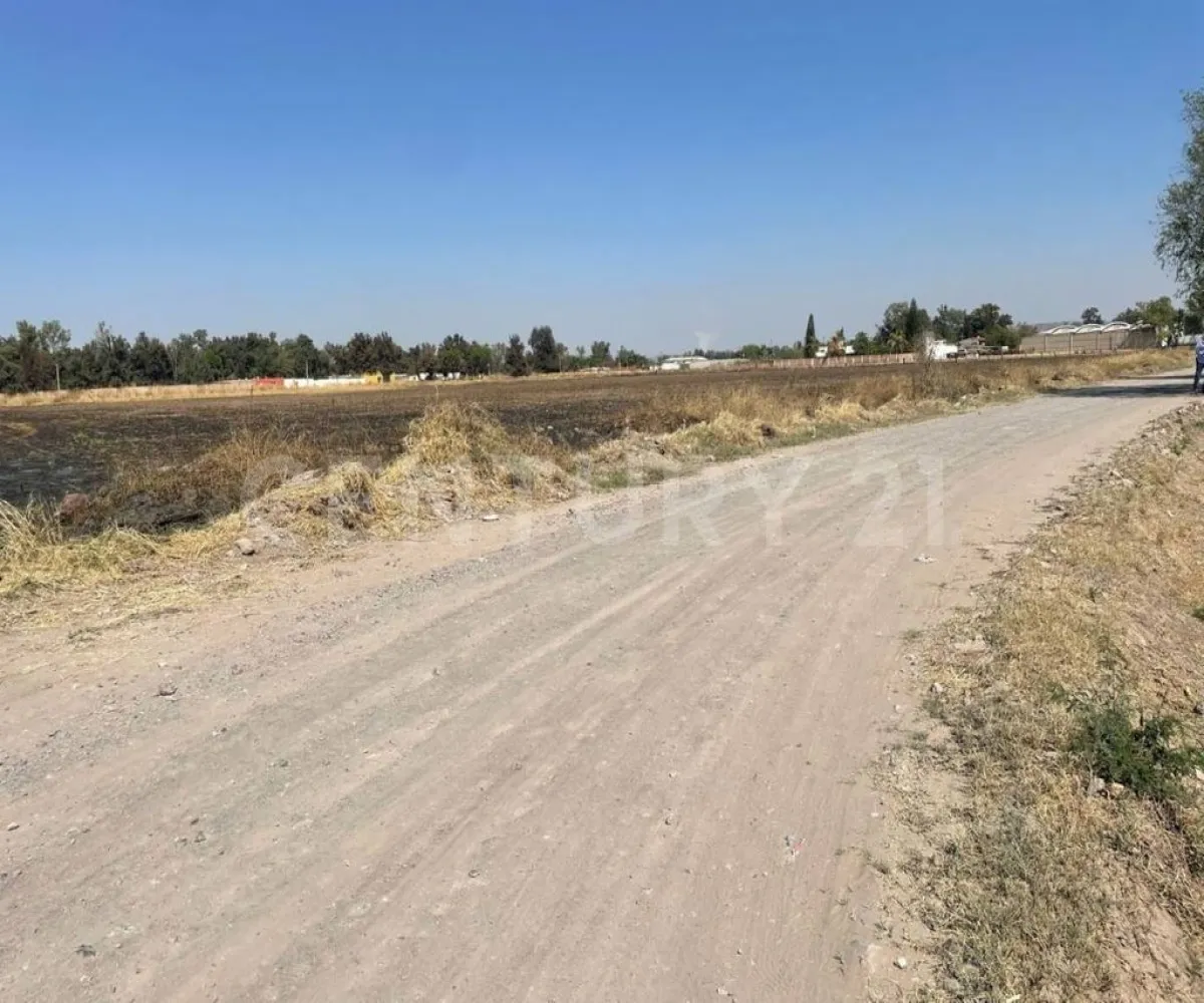 Terreno En Renta,Zapote Del Valle,Parcela 287 Z3 PS/S, Tlajomulco de Zúñiga, Jalisco 45672,Parcela 287 ,p31K8gI Terreno En Renta,Zapote Del Valle,Parcela 287 Z3 PS/S, Tlajomulco de Zúñiga, Jalisco 45672,Parcela 287 ,p31K8gI