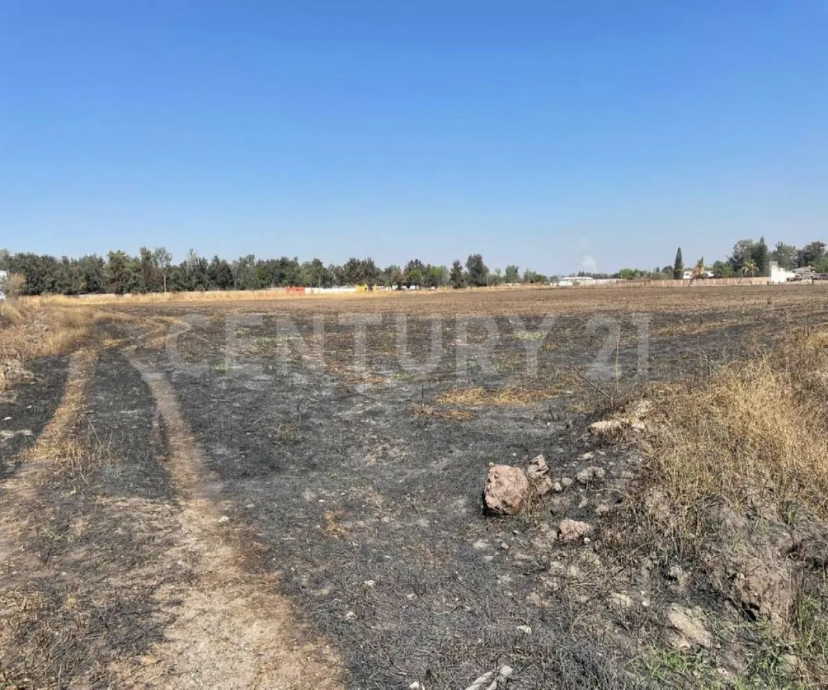 Terreno En Renta,Zapote Del Valle,Parcela 287 Z3 PS/S, Tlajomulco de Zúñiga, Jalisco 45672,Parcela 287 ,p31K8gI Terreno En Renta,Zapote Del Valle,Parcela 287 Z3 PS/S, Tlajomulco de Zúñiga, Jalisco 45672,Parcela 287 ,p31K8gI