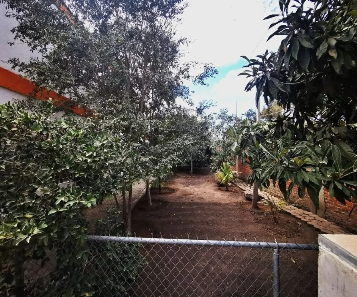 Casa En Venta,Cajititlan,Calle Madero 400, Tlajomulco de Zúñiga, Jalisco 45670, 3 Habitaciones,2 Baños,Calle Madero,1,pjEDKbd Casa En Venta,Cajititlan,Calle Madero 400, Tlajomulco de Zúñiga, Jalisco 45670, 3 Habitaciones,2 Baños,Calle Madero,1,pjEDKbd