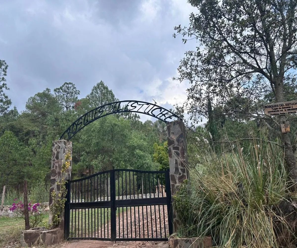 Terreno En Venta,La Atarjea,La Atarjea S/N, Tapalpa, Jalisco 49346,La Atarjea,pDN3VIs