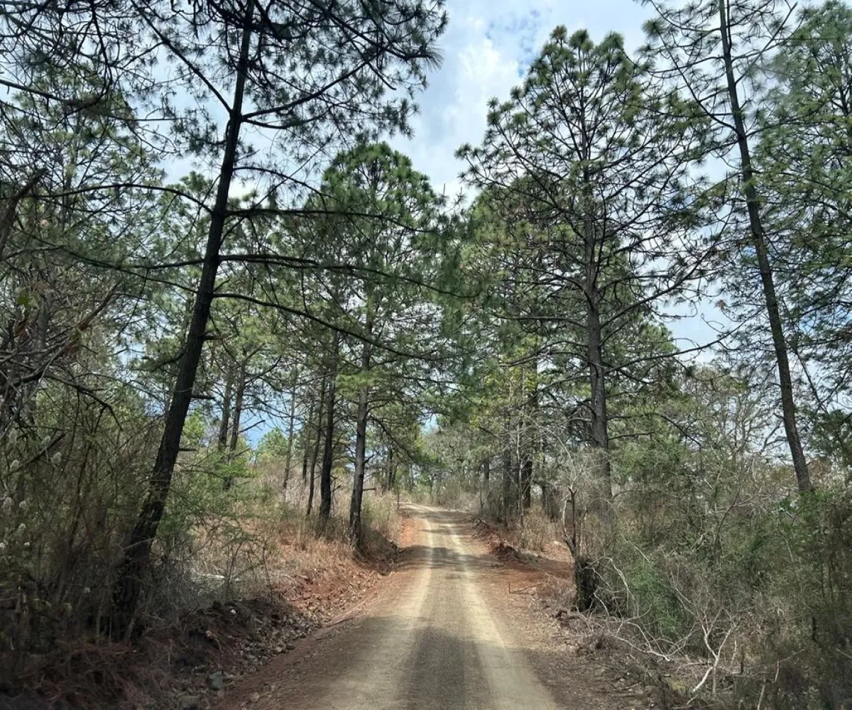 Terreno En Venta,La Atarjea,La Atarjea S/N, Tapalpa, Jalisco 49346,La Atarjea,pDN3VIs