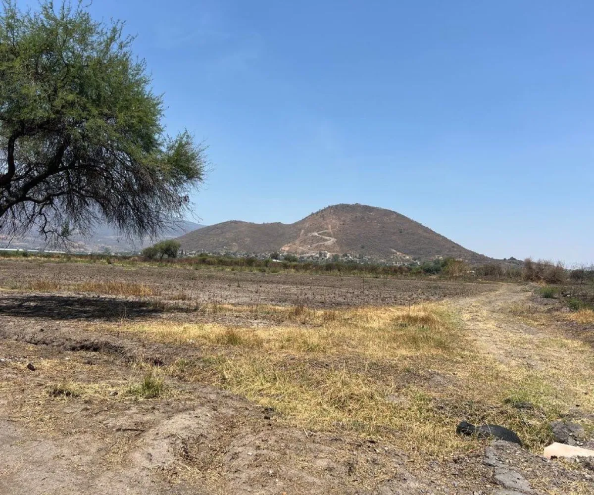 Terreno En Venta,Poblado de Cuexcomatitlan.,Avenida Tres Reyes 00, Tlajomulco de Zúñiga, Jalisco 45670,Avenida Tres Reyes,pnfH0gJ Terreno En Venta,Poblado de Cuexcomatitlan.,Avenida Tres Reyes 00, Tlajomulco de Zúñiga, Jalisco 45670,Avenida Tres Reyes,pnfH0gJ