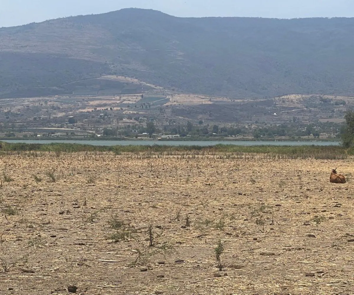 Terreno En Venta,Poblado de Cuexcomatitlan.,Avenida Tres Reyes 00, Tlajomulco de Zúñiga, Jalisco 45670,Avenida Tres Reyes,pnfH0gJ Terreno En Venta,Poblado de Cuexcomatitlan.,Avenida Tres Reyes 00, Tlajomulco de Zúñiga, Jalisco 45670,Avenida Tres Reyes,pnfH0gJ