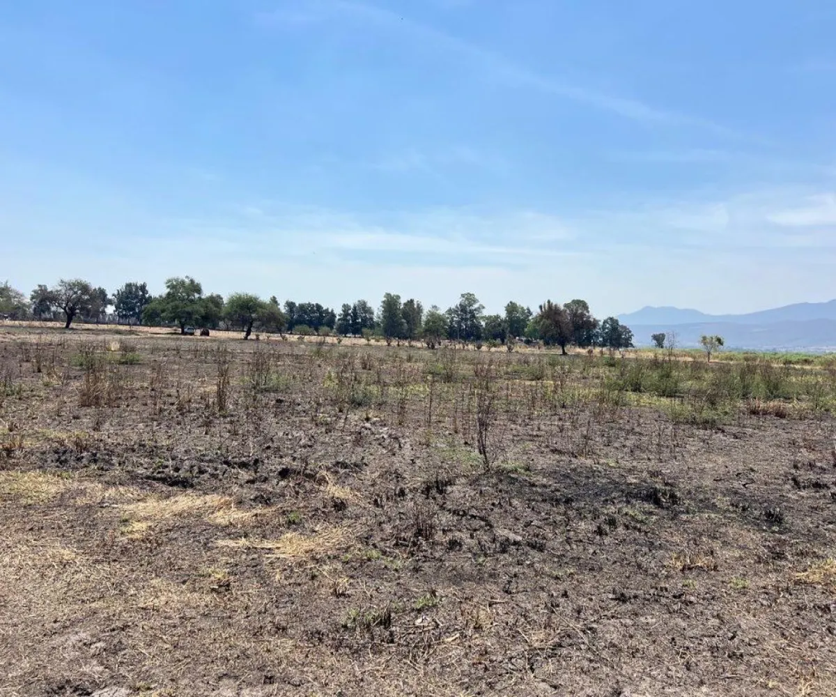 Terreno En Venta,Poblado de Cuexcomatitlan.,Avenida Tres Reyes 00, Tlajomulco de Zúñiga, Jalisco 45670,Avenida Tres Reyes,pnfH0gJ Terreno En Venta,Poblado de Cuexcomatitlan.,Avenida Tres Reyes 00, Tlajomulco de Zúñiga, Jalisco 45670,Avenida Tres Reyes,pnfH0gJ