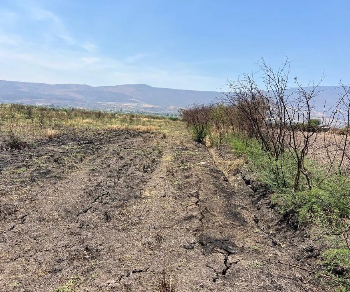 Terreno En Venta,Poblado de Cuexcomatitlan.,Avenida Tres Reyes 00, Tlajomulco de Zúñiga, Jalisco 45670,Avenida Tres Reyes,pnfH0gJ Terreno En Venta,Poblado de Cuexcomatitlan.,Avenida Tres Reyes 00, Tlajomulco de Zúñiga, Jalisco 45670,Avenida Tres Reyes,pnfH0gJ