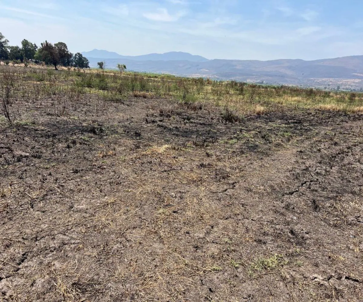 Terreno En Venta,Poblado de Cuexcomatitlan.,Avenida Tres Reyes 00, Tlajomulco de Zúñiga, Jalisco 45670,Avenida Tres Reyes,pnfH0gJ Terreno En Venta,Poblado de Cuexcomatitlan.,Avenida Tres Reyes 00, Tlajomulco de Zúñiga, Jalisco 45670,Avenida Tres Reyes,pnfH0gJ