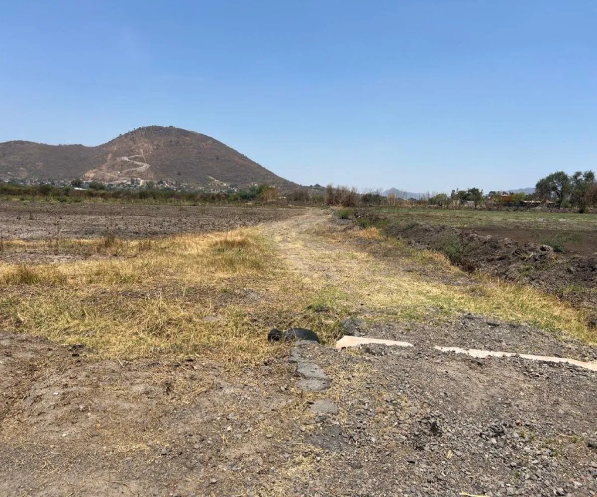 Terreno En Venta,Poblado de Cuexcomatitlan.,Avenida Tres Reyes 00, Tlajomulco de Zúñiga, Jalisco 45670,Avenida Tres Reyes,pnfH0gJ Terreno En Venta,Poblado de Cuexcomatitlan.,Avenida Tres Reyes 00, Tlajomulco de Zúñiga, Jalisco 45670,Avenida Tres Reyes,pnfH0gJ