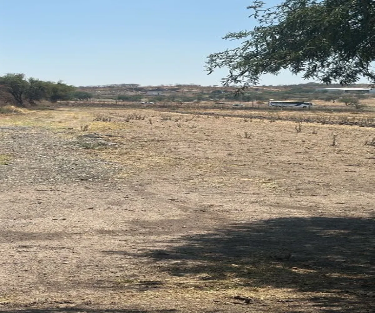 Terreno En Venta,Poblado de Cuexcomatitlan.,Avenida Tres Reyes 00, Tlajomulco de Zúñiga, Jalisco 45670,Avenida Tres Reyes,pnfH0gJ Terreno En Venta,Poblado de Cuexcomatitlan.,Avenida Tres Reyes 00, Tlajomulco de Zúñiga, Jalisco 45670,Avenida Tres Reyes,pnfH0gJ