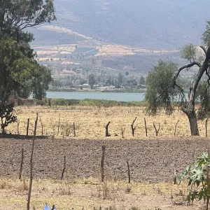 Terreno En Venta,Poblado de Cuexcomatitlan.,Avenida Tres Reyes 00, Tlajomulco de Zúñiga, Jalisco 45670,Avenida Tres Reyes,pnfH0gJ