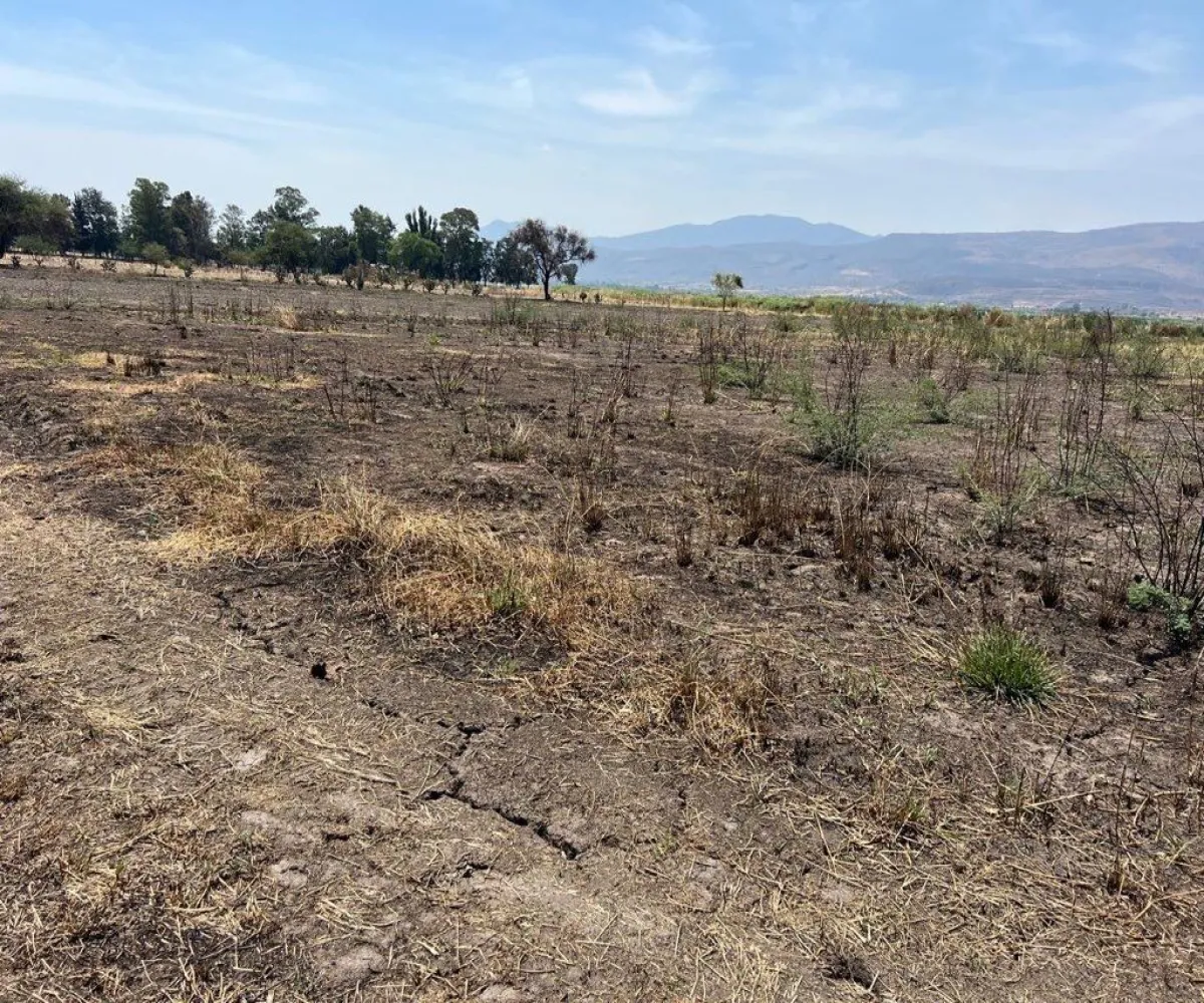 Terreno En Venta,Poblado de Cuexcomatitlan.,Avenida Tres Reyes 00, Tlajomulco de Zúñiga, Jalisco 45670,Avenida Tres Reyes,pnfH0gJ Terreno En Venta,Poblado de Cuexcomatitlan.,Avenida Tres Reyes 00, Tlajomulco de Zúñiga, Jalisco 45670,Avenida Tres Reyes,pnfH0gJ