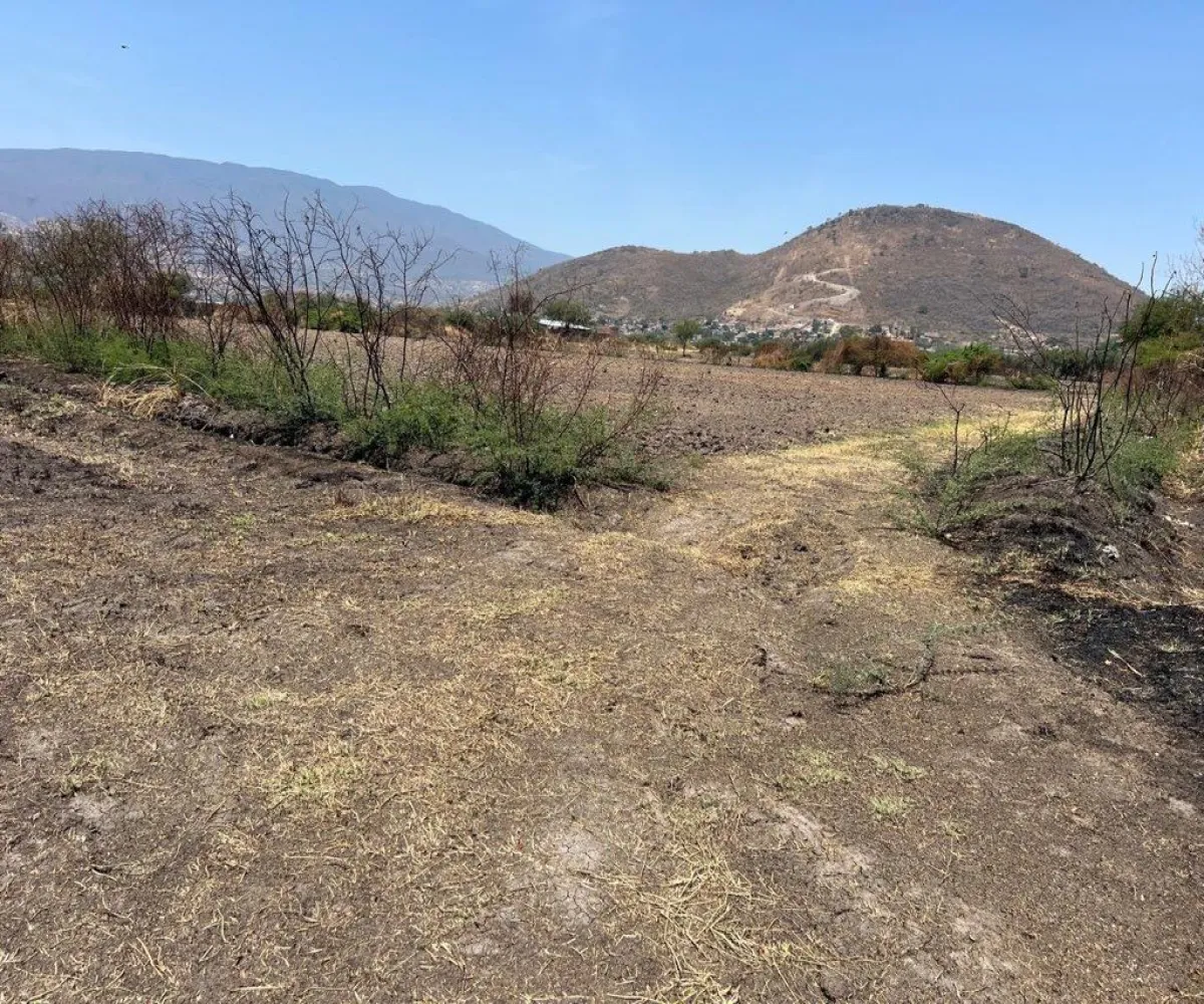 Terreno En Venta,Poblado de Cuexcomatitlan.,Avenida Tres Reyes 00, Tlajomulco de Zúñiga, Jalisco 45670,Avenida Tres Reyes,pnfH0gJ Terreno En Venta,Poblado de Cuexcomatitlan.,Avenida Tres Reyes 00, Tlajomulco de Zúñiga, Jalisco 45670,Avenida Tres Reyes,pnfH0gJ