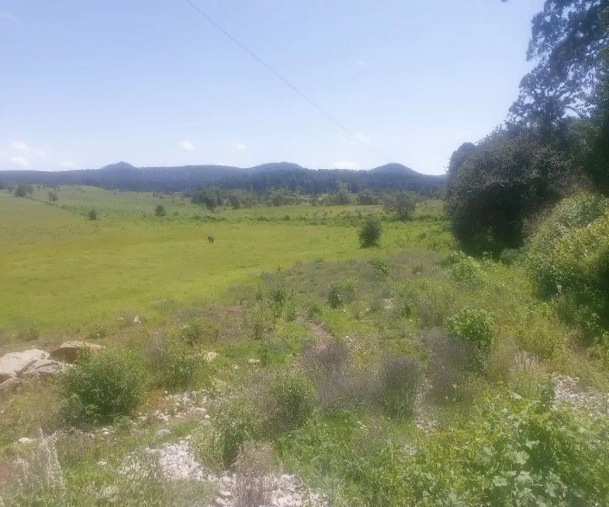 Terreno En Venta,Tapalpa,El Bajio S/N, Tapalpa, Jalisco 49340,El Bajio,paEm5Yq