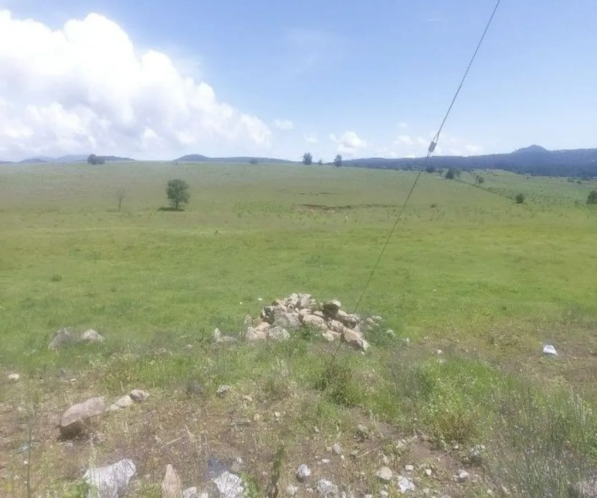 Terreno En Venta,Tapalpa,El Bajio S/N, Tapalpa, Jalisco 49340,El Bajio,paEm5Yq