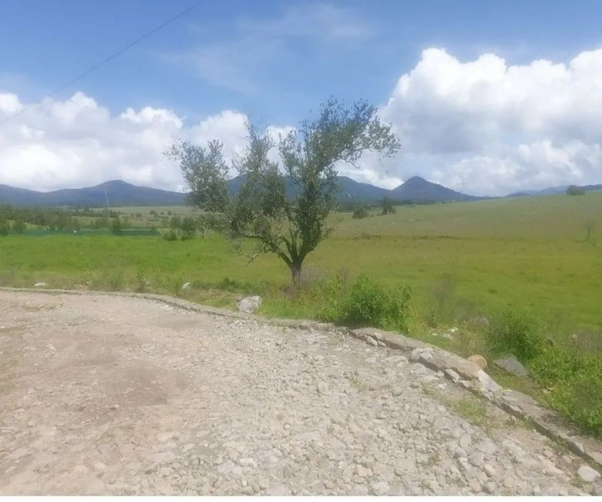 Terreno En Venta,Tapalpa,El Bajio S/N, Tapalpa, Jalisco 49340,El Bajio,paEm5Yq