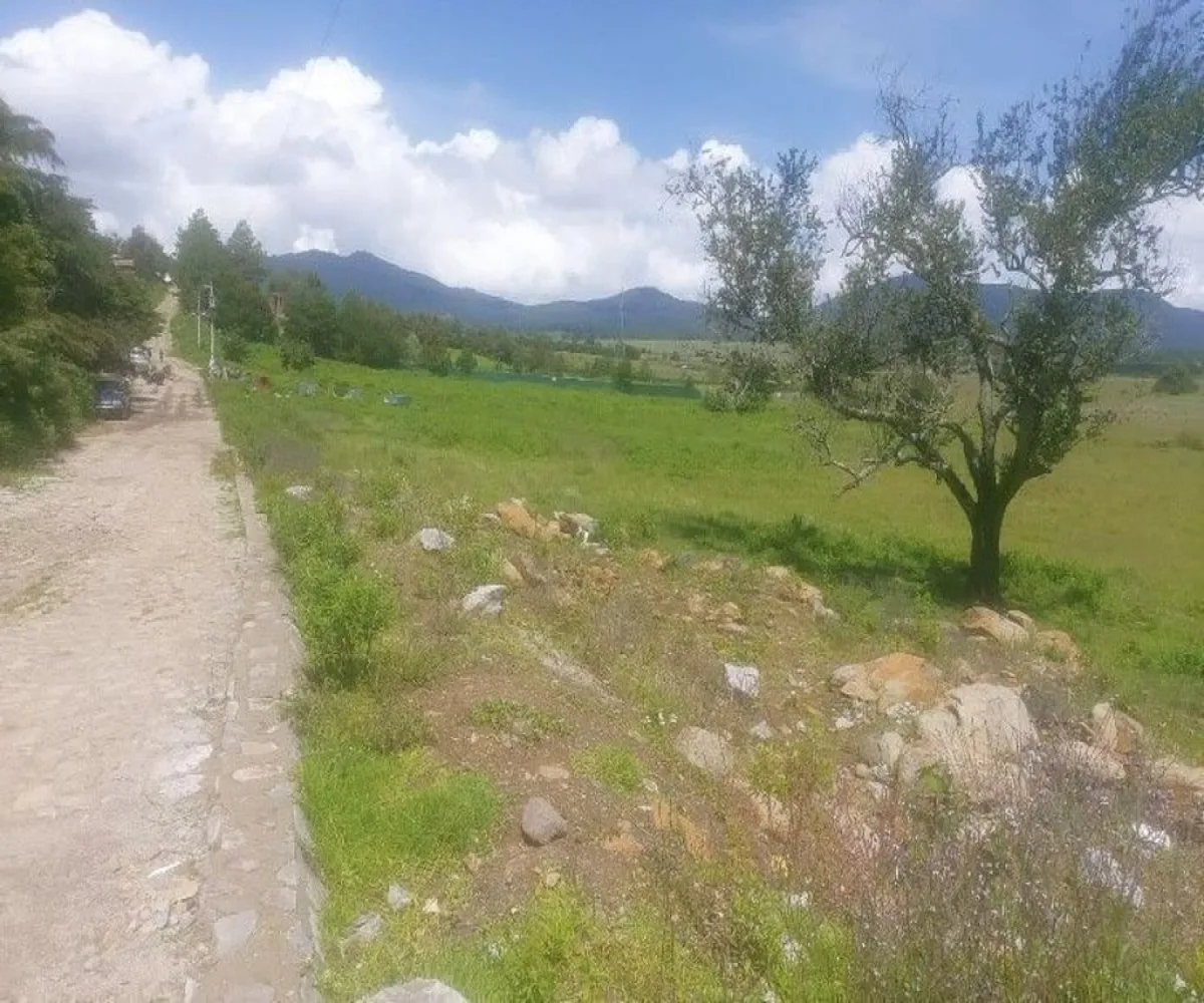 Terreno En Venta,Tapalpa,El Bajio S/N, Tapalpa, Jalisco 49340,El Bajio,paEm5Yq