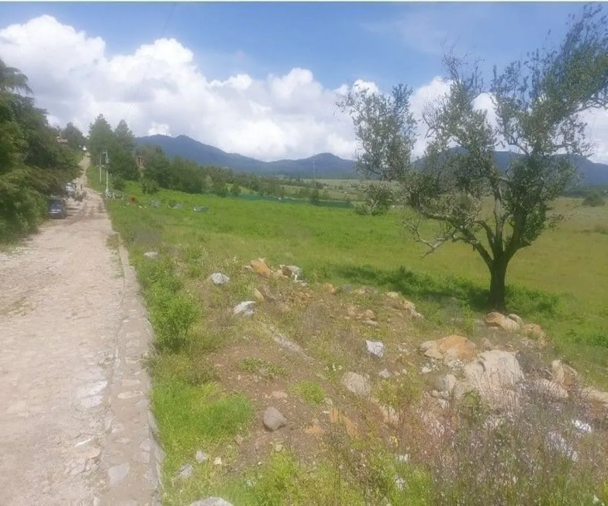 Terreno En Venta,Tapalpa,El Bajio S/N, Tapalpa, Jalisco 49340,El Bajio,paEm5Yq