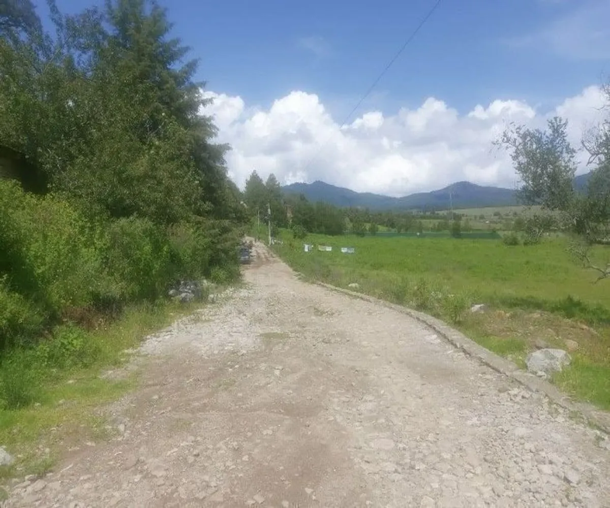 Terreno En Venta,Tapalpa,El Bajio S/N, Tapalpa, Jalisco 49340,El Bajio,paEm5Yq