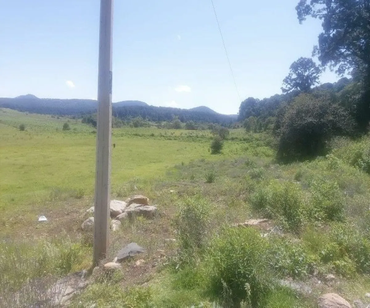 Terreno En Venta,Tapalpa,El Bajio S/N, Tapalpa, Jalisco 49340,El Bajio,paEm5Yq