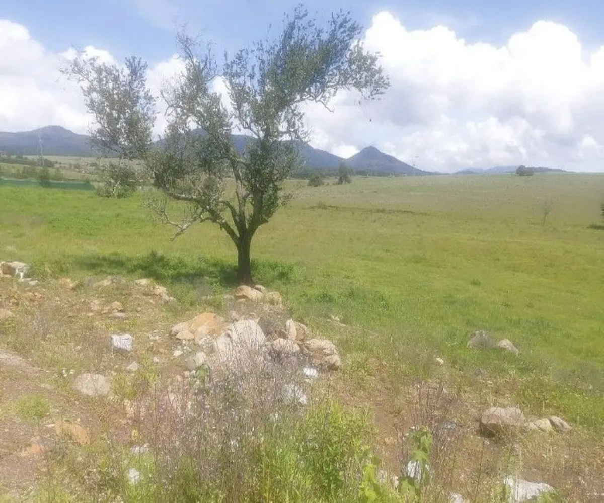 Terreno En Venta,Tapalpa,El Bajio S/N, Tapalpa, Jalisco 49340,El Bajio,paEm5Yq
