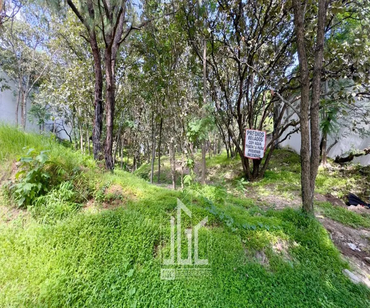 Terreno En Venta,Fraccionamiento Bugambilias,Paseo de Las Gacelas S/N, Zapopan, Jalisco 45237,Paseo de Las Gacelas,p0H3OR1