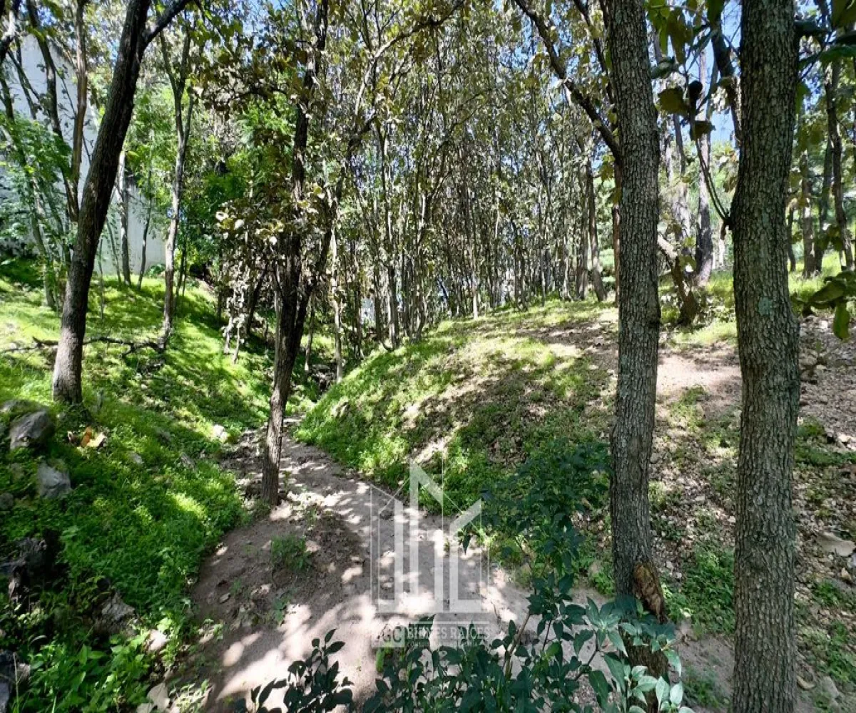 Terreno En Venta,Fraccionamiento Bugambilias,Paseo de Las Gacelas S/N, Zapopan, Jalisco 45237,Paseo de Las Gacelas,p0H3OR1