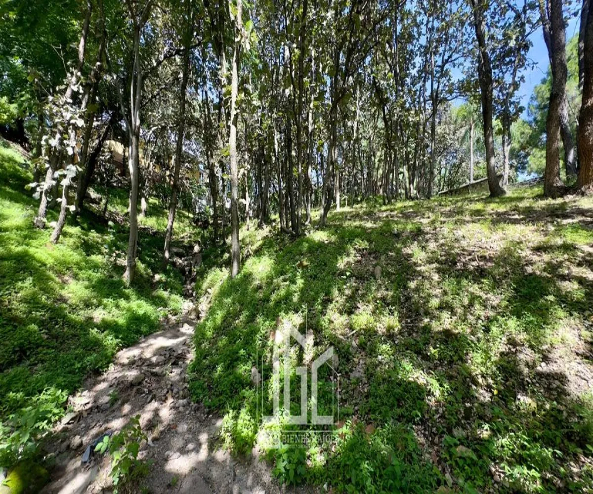 Terreno En Venta,Fraccionamiento Bugambilias,Paseo de Las Gacelas S/N, Zapopan, Jalisco 45237,Paseo de Las Gacelas,p0H3OR1