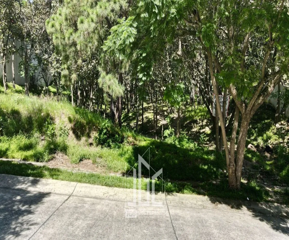 Terreno En Venta,Fraccionamiento Bugambilias,Paseo de Las Gacelas S/N, Zapopan, Jalisco 45237,Paseo de Las Gacelas,p0H3OR1