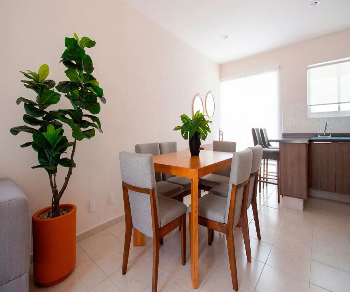 Casa En Venta,Santa Cruz del Valle,Calle Santa Cruz del Valle 1497 A, San Pedro Tlaquepaque, Jalisco 45618, 2 Habitaciones,2 Baños,Calle Santa Cruz del Valle,1,piatRv2 Casa En Venta,Santa Cruz del Valle,Calle Santa Cruz del Valle 1497 A, San Pedro Tlaquepaque, Jalisco 45618, 2 Habitaciones,2 Baños,Calle Santa Cruz del Valle,1,piatRv2