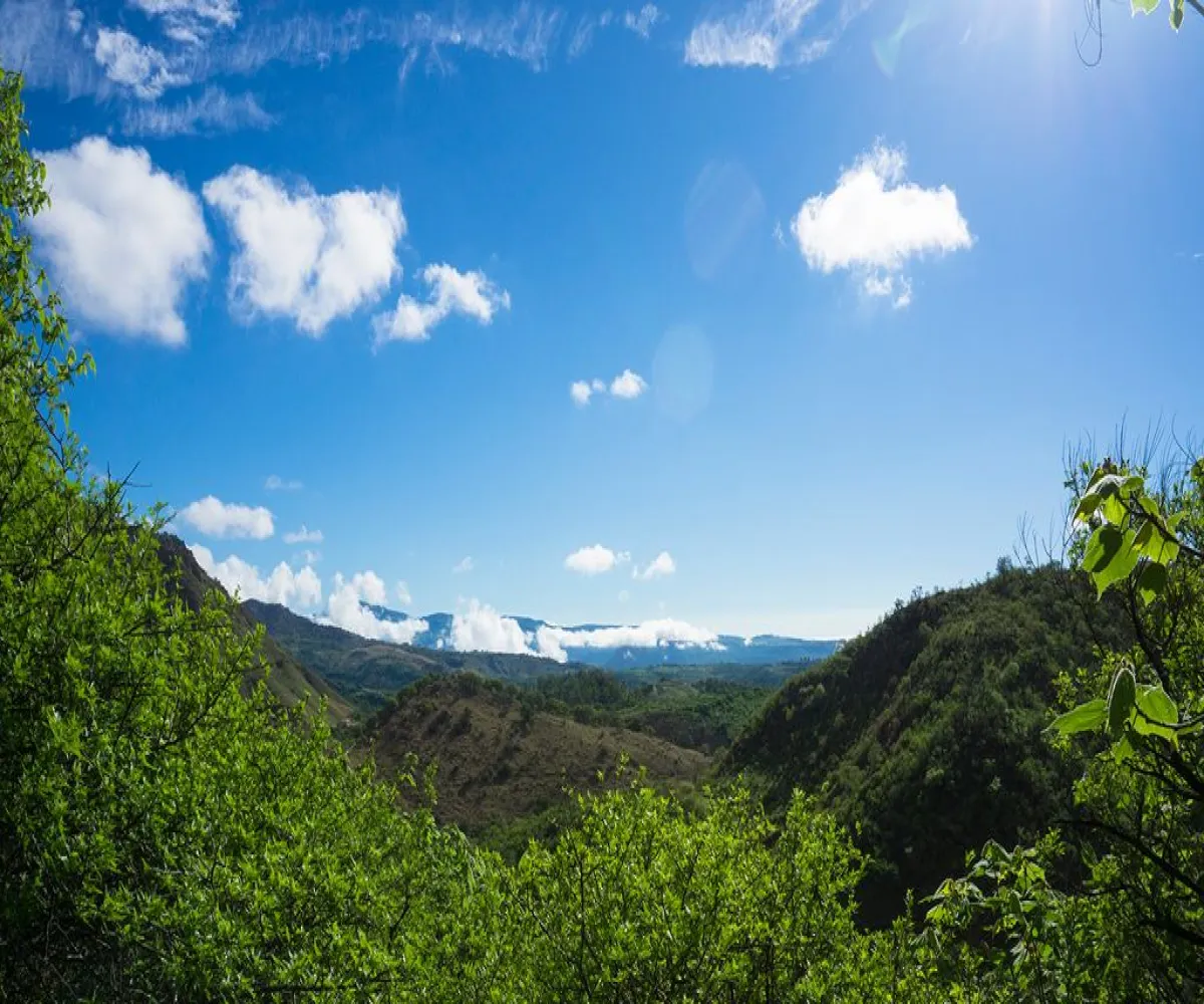 Casa En Venta,Avenida Camino de los Parques 5204, Zapopan, Jalisco 45180, 3 Habitaciones,2 Baños,Avenida Camino de los Parques,1,plFY6JP Casa En Venta,Avenida Camino de los Parques 5204, Zapopan, Jalisco 45180, 3 Habitaciones,2 Baños,Avenida Camino de los Parques,1,plFY6JP