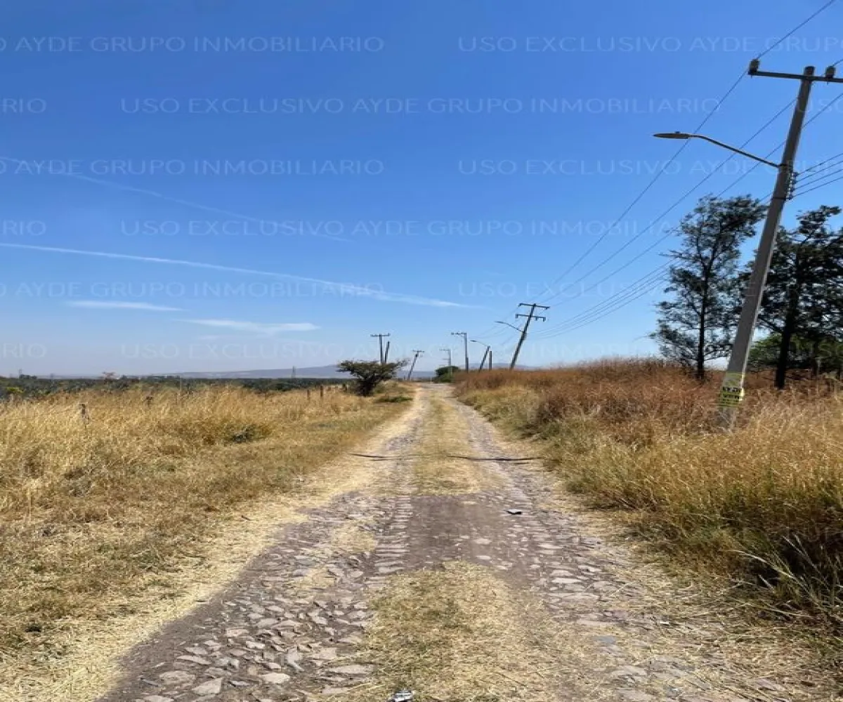 Terreno En Venta,Los Sauces,Vereda de las Violetas 18, Tlajomulco de Zúñiga, Jalisco 45675,Vereda de las Violetas,pgiBDA4