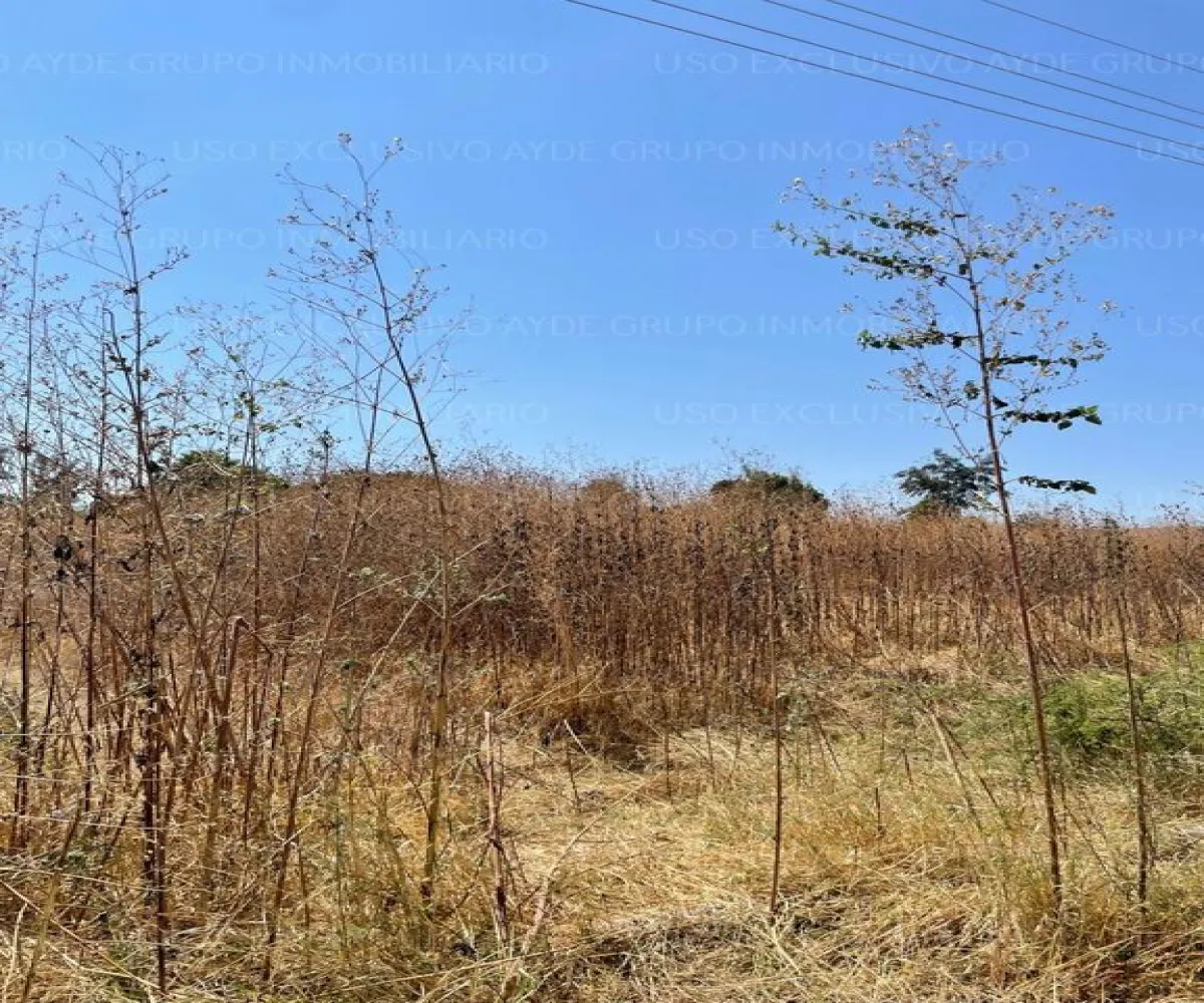 Terreno En Venta,Los Sauces,Vereda de las Violetas 18, Tlajomulco de Zúñiga, Jalisco 45675,Vereda de las Violetas,pgiBDA4