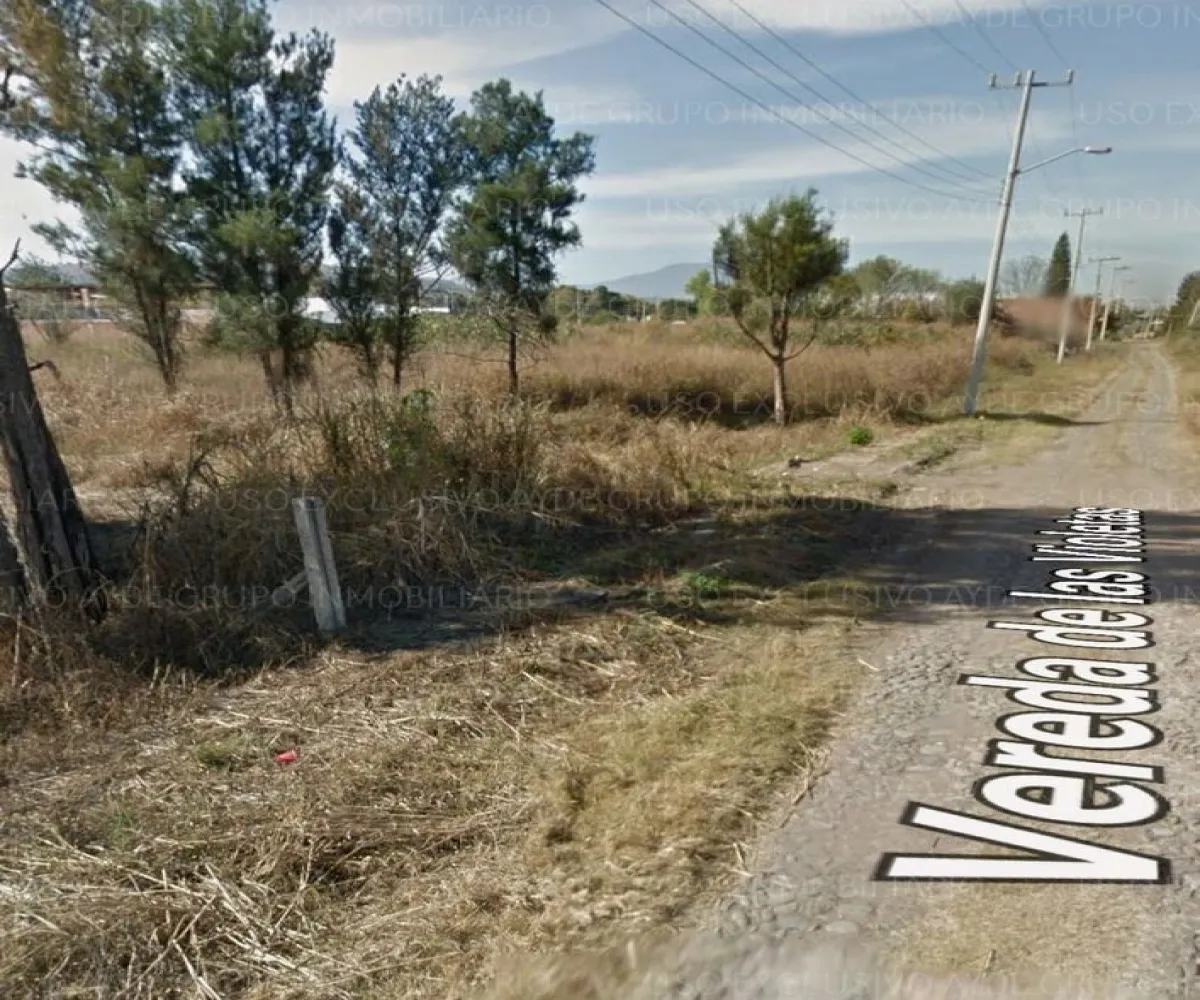 Terreno En Venta,Los Sauces,Vereda de las Violetas 18, Tlajomulco de Zúñiga, Jalisco 45675,Vereda de las Violetas,pgiBDA4