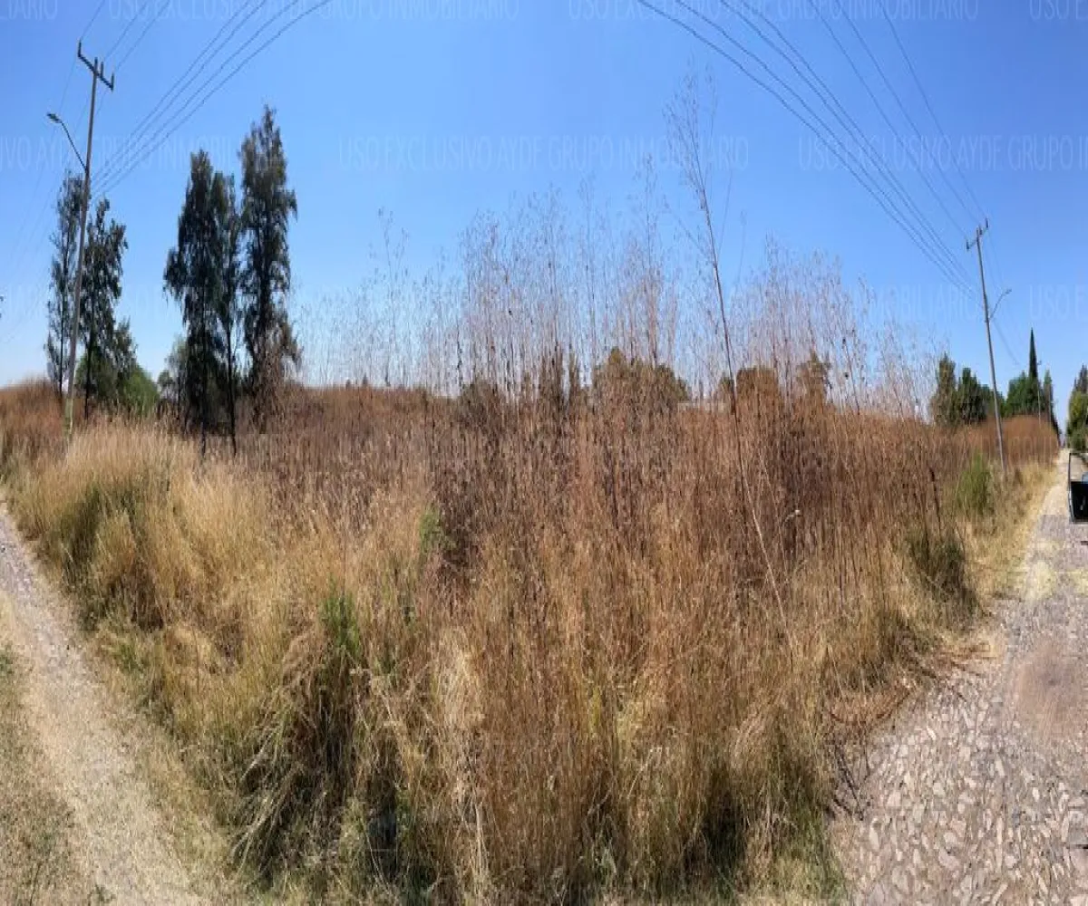 Terreno En Venta,Los Sauces,Vereda de las Violetas 18, Tlajomulco de Zúñiga, Jalisco 45675,Vereda de las Violetas,pgiBDA4