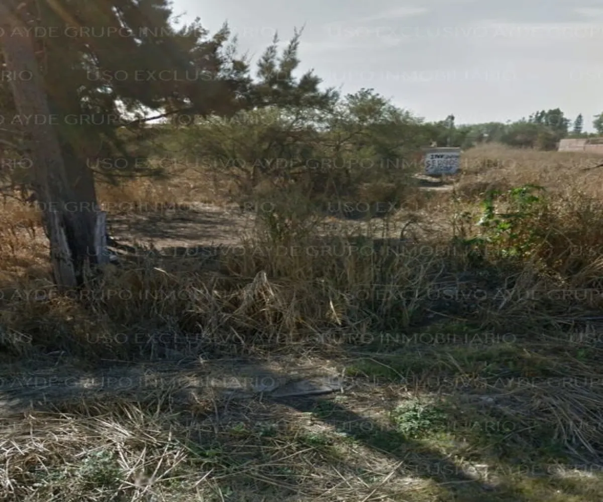 Terreno En Venta,Los Sauces,Vereda de las Violetas 18, Tlajomulco de Zúñiga, Jalisco 45675,Vereda de las Violetas,pgiBDA4