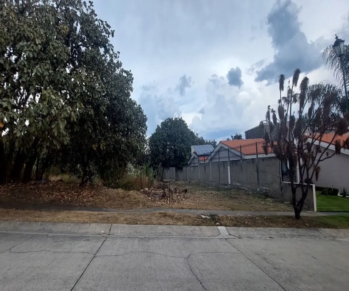 Terreno En Venta,El Palomar,Paseo de los Alamos S/N, Tlajomulco de Zúñiga, Jalisco 45643,Paseo de los Alamos,pslZBhj Terreno En Venta,El Palomar,Paseo de los Alamos S/N, Tlajomulco de Zúñiga, Jalisco 45643,Paseo de los Alamos,pslZBhj