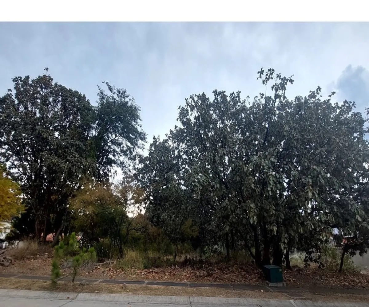 Terreno En Venta,El Palomar,Paseo de los Alamos S/N, Tlajomulco de Zúñiga, Jalisco 45643,Paseo de los Alamos,pslZBhj Terreno En Venta,El Palomar,Paseo de los Alamos S/N, Tlajomulco de Zúñiga, Jalisco 45643,Paseo de los Alamos,pslZBhj