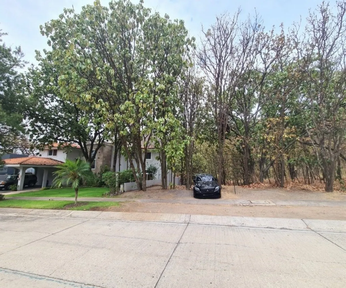 Terreno En Venta,El Palomar,Paseo de los Alamos S/N, Tlajomulco de Zúñiga, Jalisco 45643,Paseo de los Alamos,pslZBhj Terreno En Venta,El Palomar,Paseo de los Alamos S/N, Tlajomulco de Zúñiga, Jalisco 45643,Paseo de los Alamos,pslZBhj