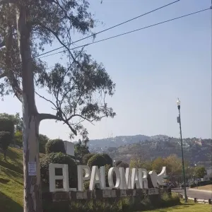 Terreno En Venta,El Palomar,Paseo de los Alamos S/N, Tlajomulco de Zúñiga, Jalisco 45643,Paseo de los Alamos,pslZBhj