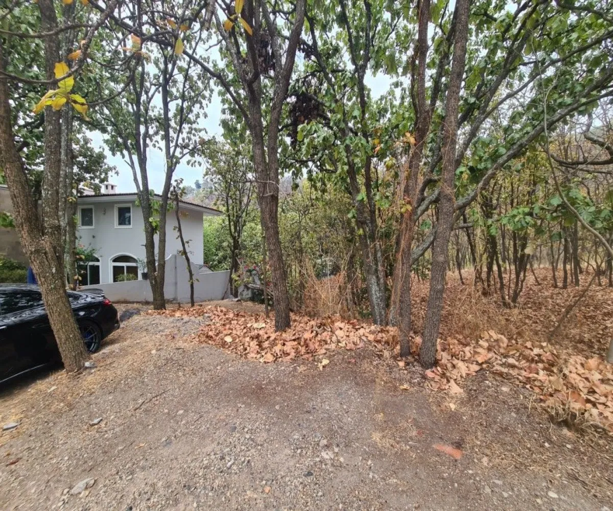 Terreno En Venta,El Palomar,Paseo de los Alamos S/N, Tlajomulco de Zúñiga, Jalisco 45643,Paseo de los Alamos,pslZBhj Terreno En Venta,El Palomar,Paseo de los Alamos S/N, Tlajomulco de Zúñiga, Jalisco 45643,Paseo de los Alamos,pslZBhj